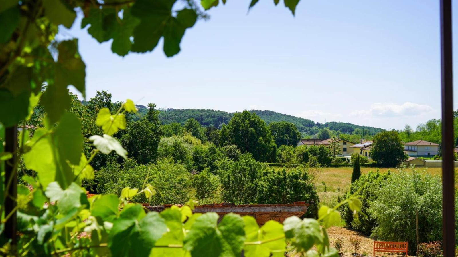 Bed and Breakfast Wine House Capannori Zewnętrze zdjęcie