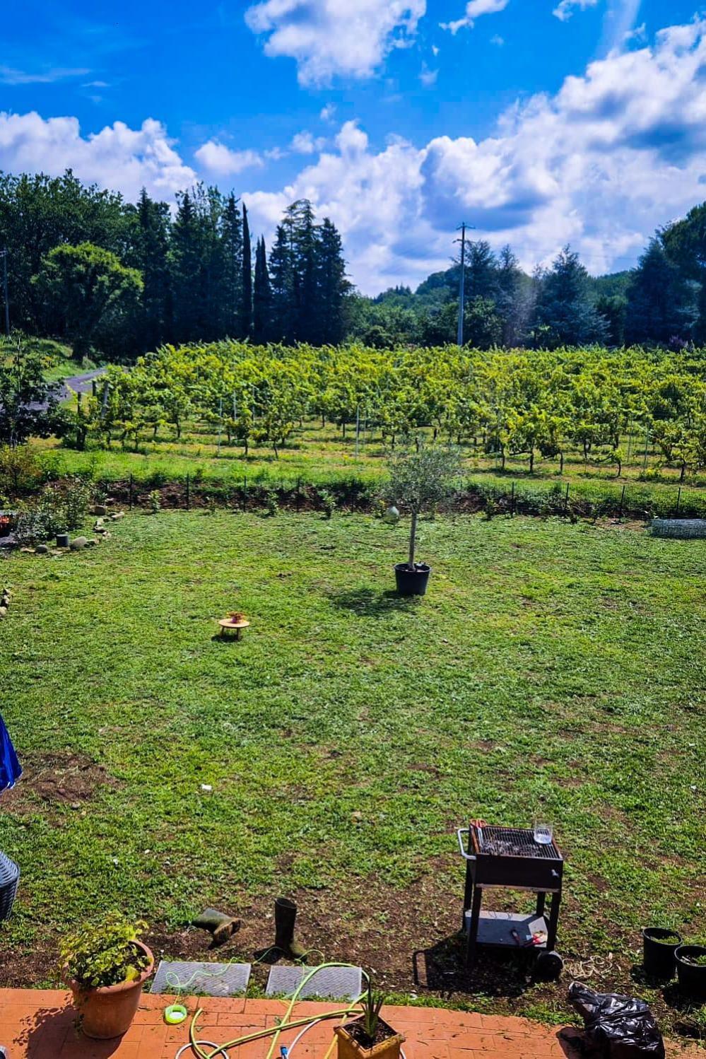Bed and Breakfast Wine House Capannori Zewnętrze zdjęcie